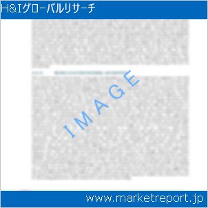 市場と産業調査レポートのイメージ